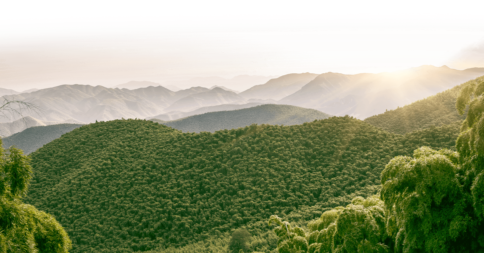 DESARROLLO SOSTENIBLE