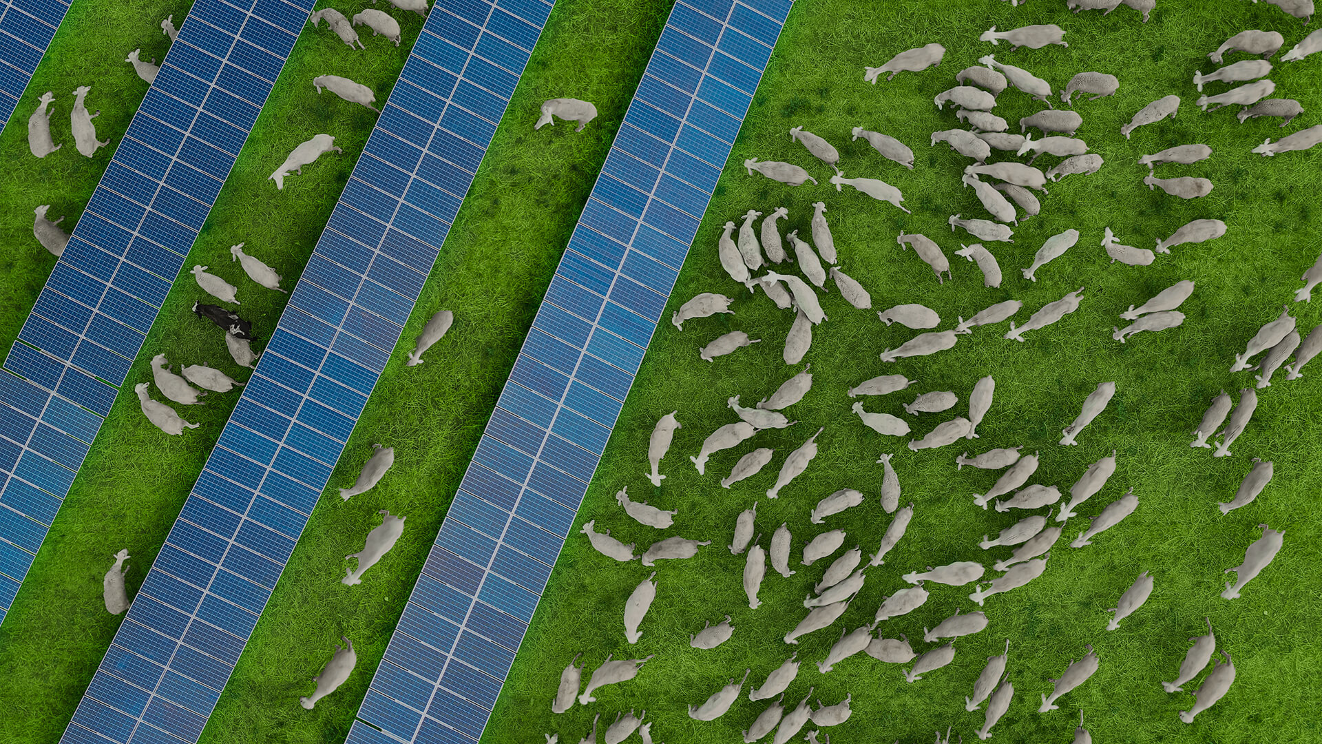 Aplicaciones Especiales