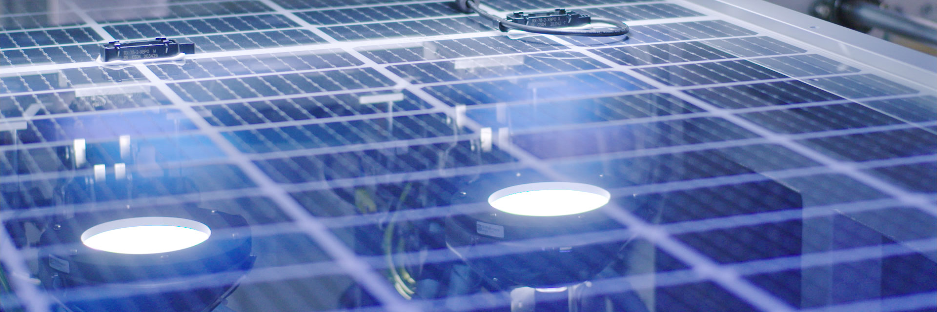 QC RIGUROSO QUE GARANTIZA PRODUCTOS EXQUISITOS