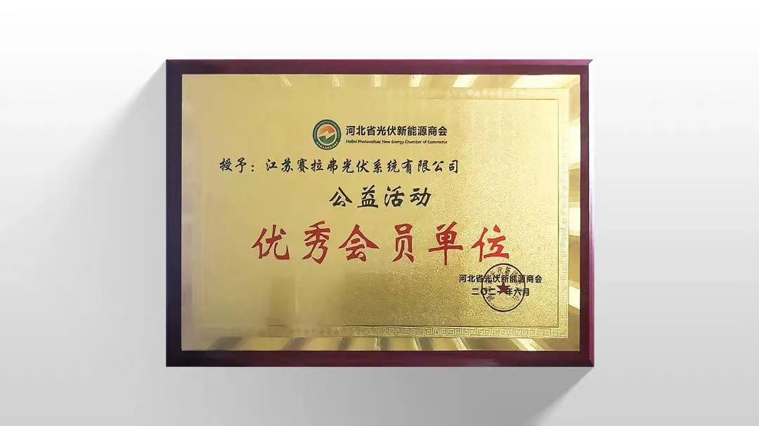 Unidad Miembro Excelente para Actividades de Bienestar Público