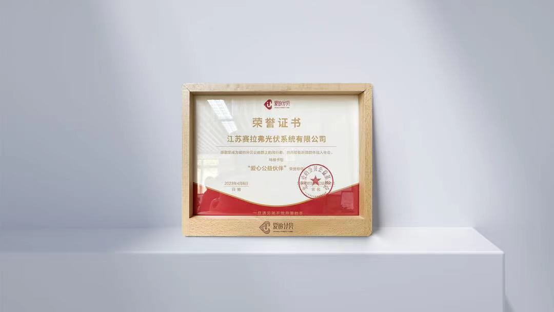 Socio Solidario del Bienestar Público del Fondo de Caridad IHearU