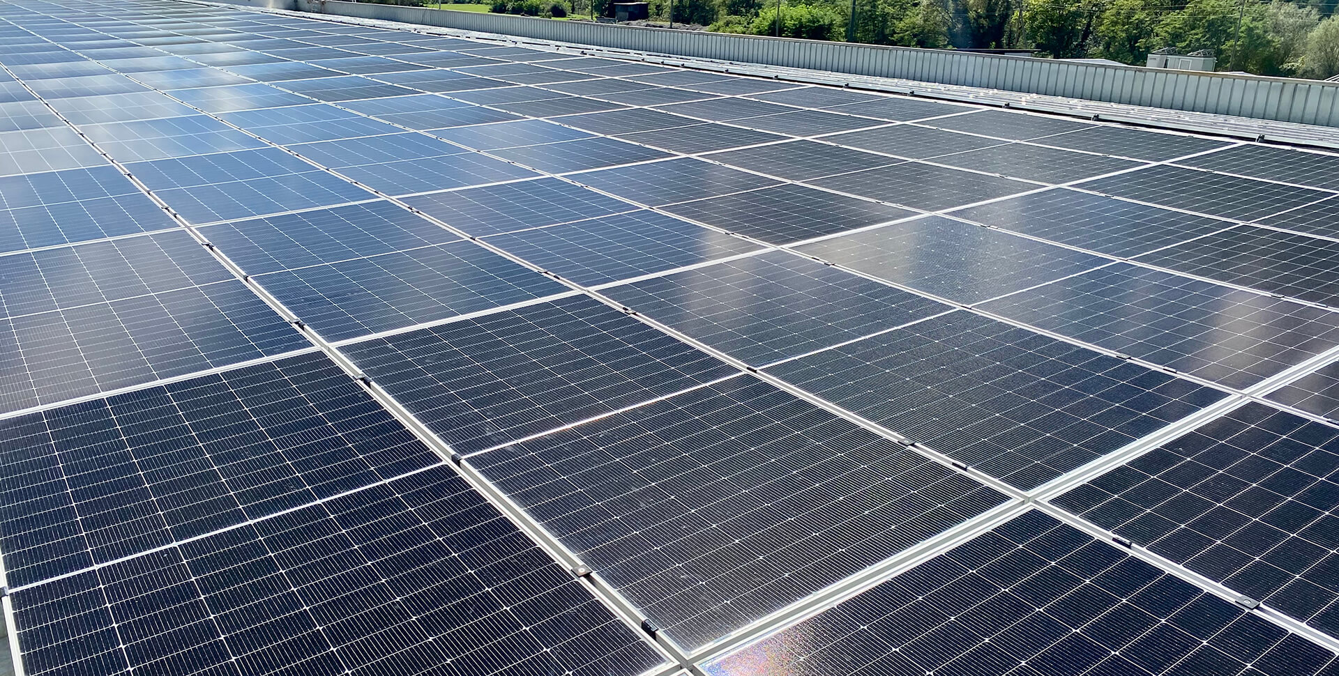 Proyecto de C&I de Suiza