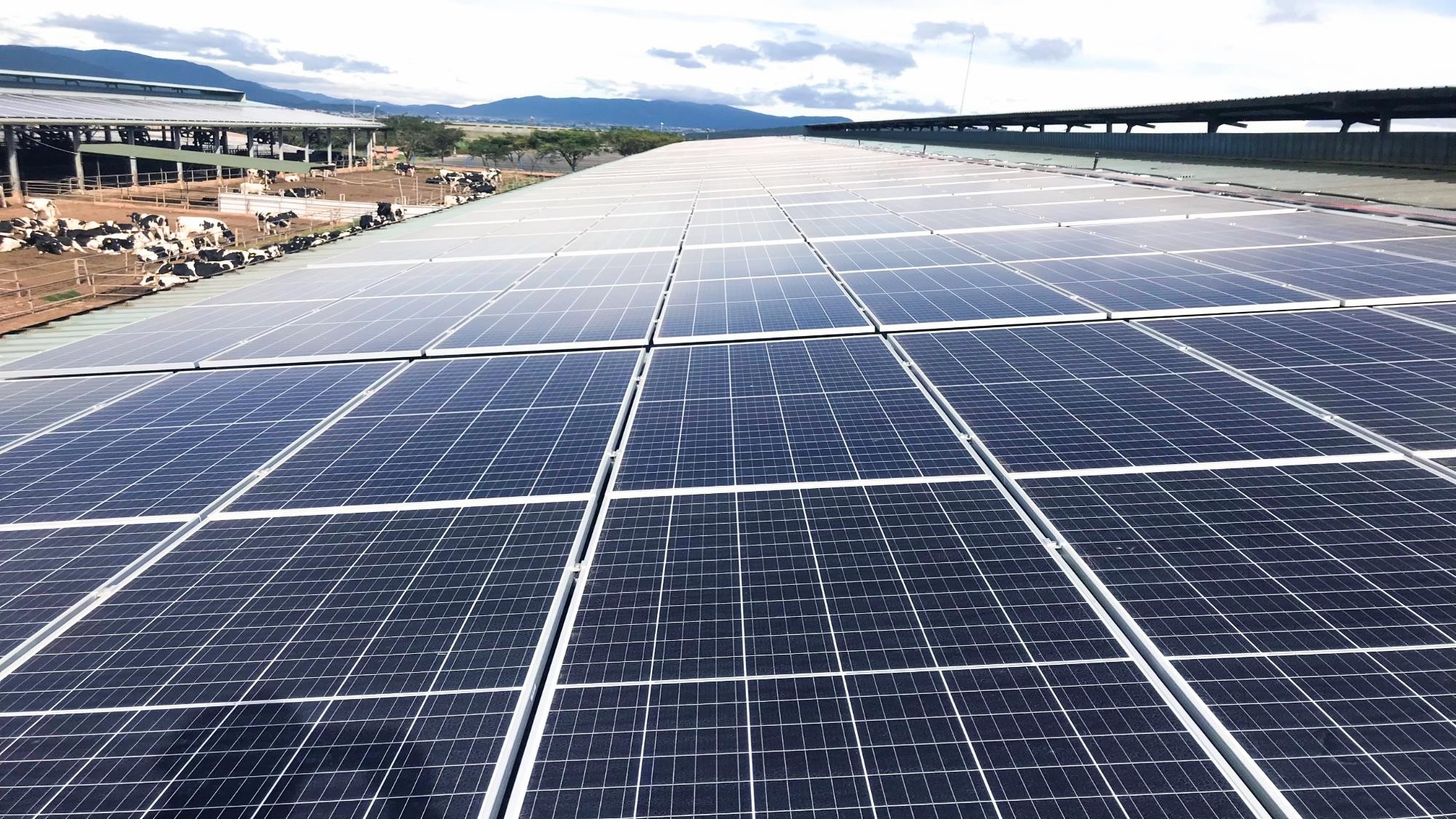 Proyecto de C&I de Vietnam