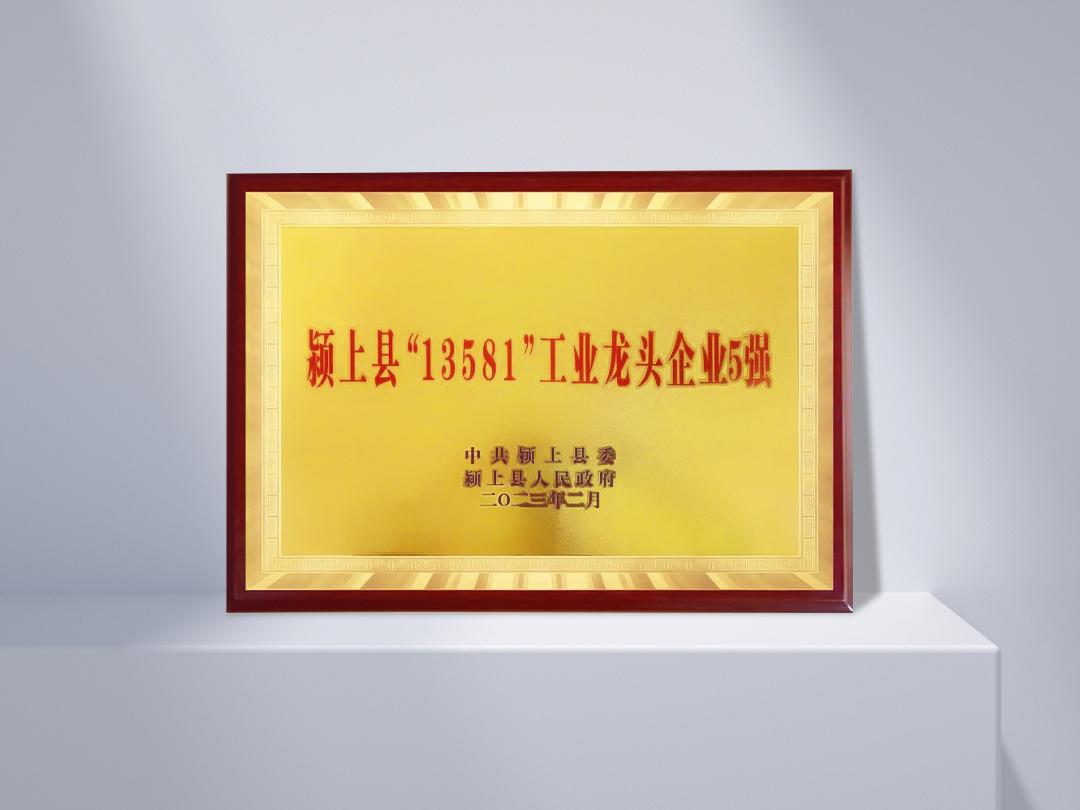 Top 5 Empresas Líderes Industriales "13581" en Yingshang