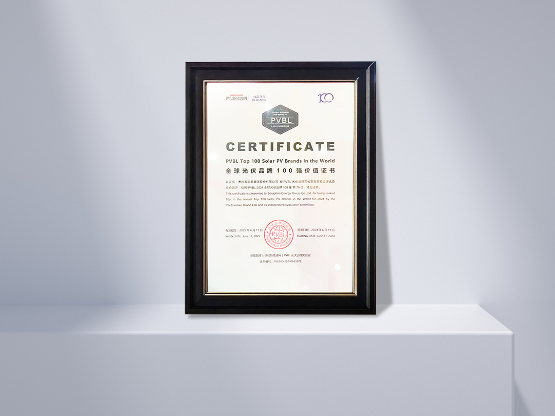 Top 100 Marcas Globales de Solar FV PVBL 2024