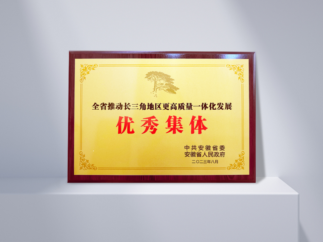 Colectivo Excelente en la Promoción del Desarrollo Integrado de Alta Calidad en el Área del Delta del Río Yangtsé